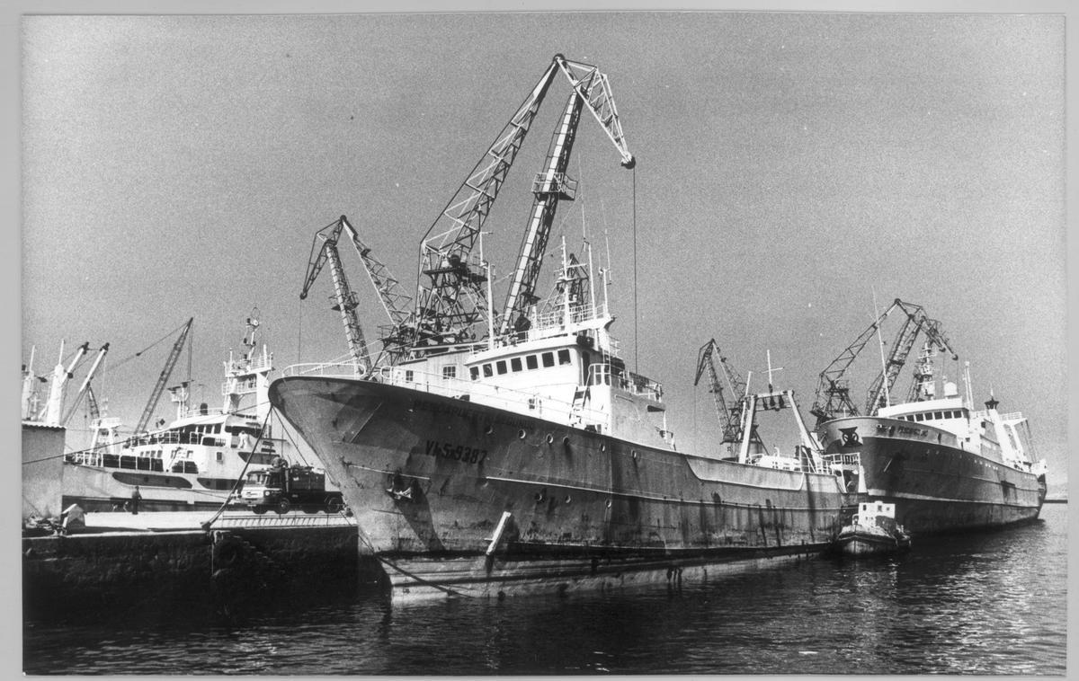 Buque «Pescapuerta Segundo», en el muelle. Buque «Pescapuerta Segundo», en el muelle.