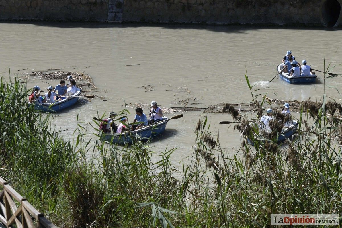 Todas las imágenes del reto de limpieza del río Segura en Murcia