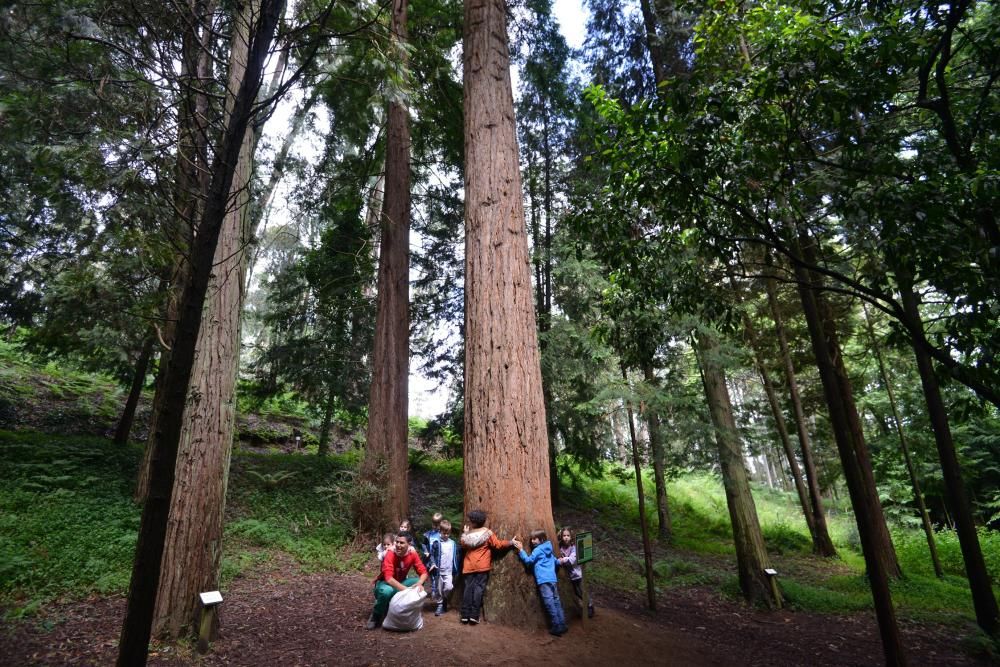 El Jardín Botánico de Lourizán, un pulmón verde