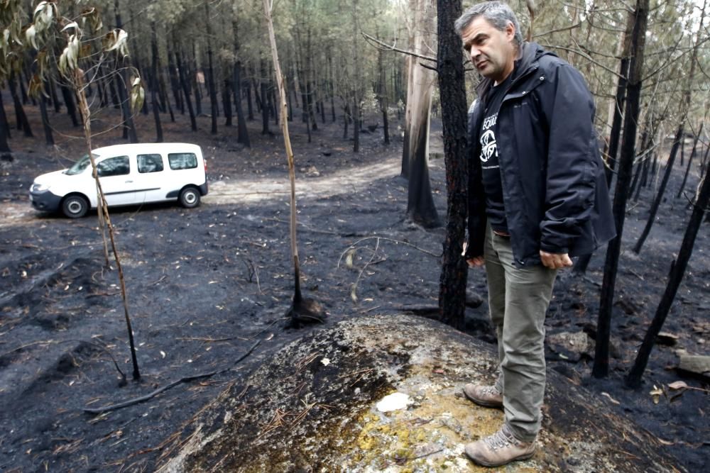 Incendios en Vigo | El Galiñeiro, tras el fuego