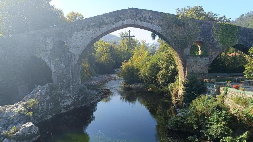 Invasión de algas en el curso medio-alto de la cuenca del Sella