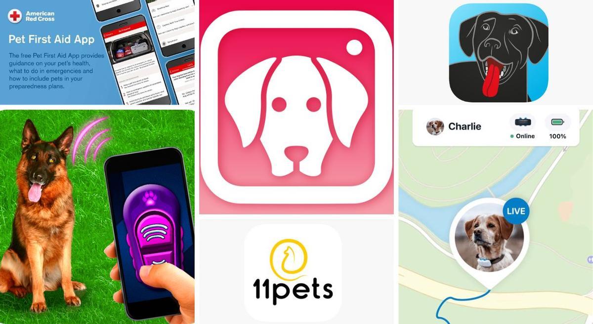 Hay muchas aplicaciones que te servirán para cuidar a tu perro.