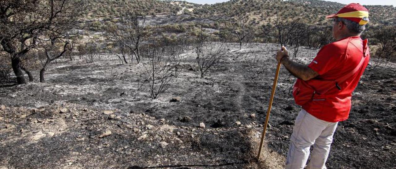 Villaharta, área que resultó calcinada en agosto de 2021