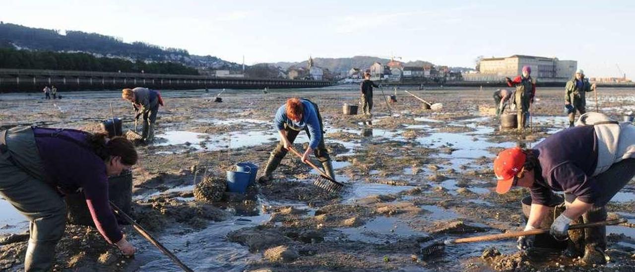 Mariscadoras en Lourizán, una playa que ahora pasará a estar abierta completamente al marisqueo. // G.S.