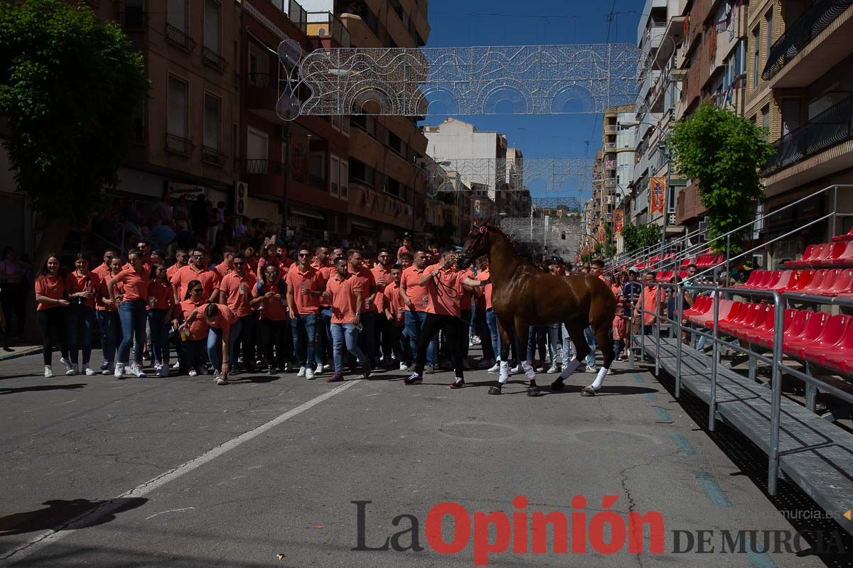 Pasacalles caballos del vino al hoyo