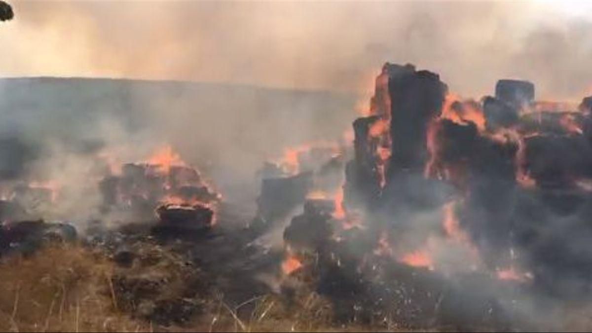 Alpacas de paja ardiendo este sábado.