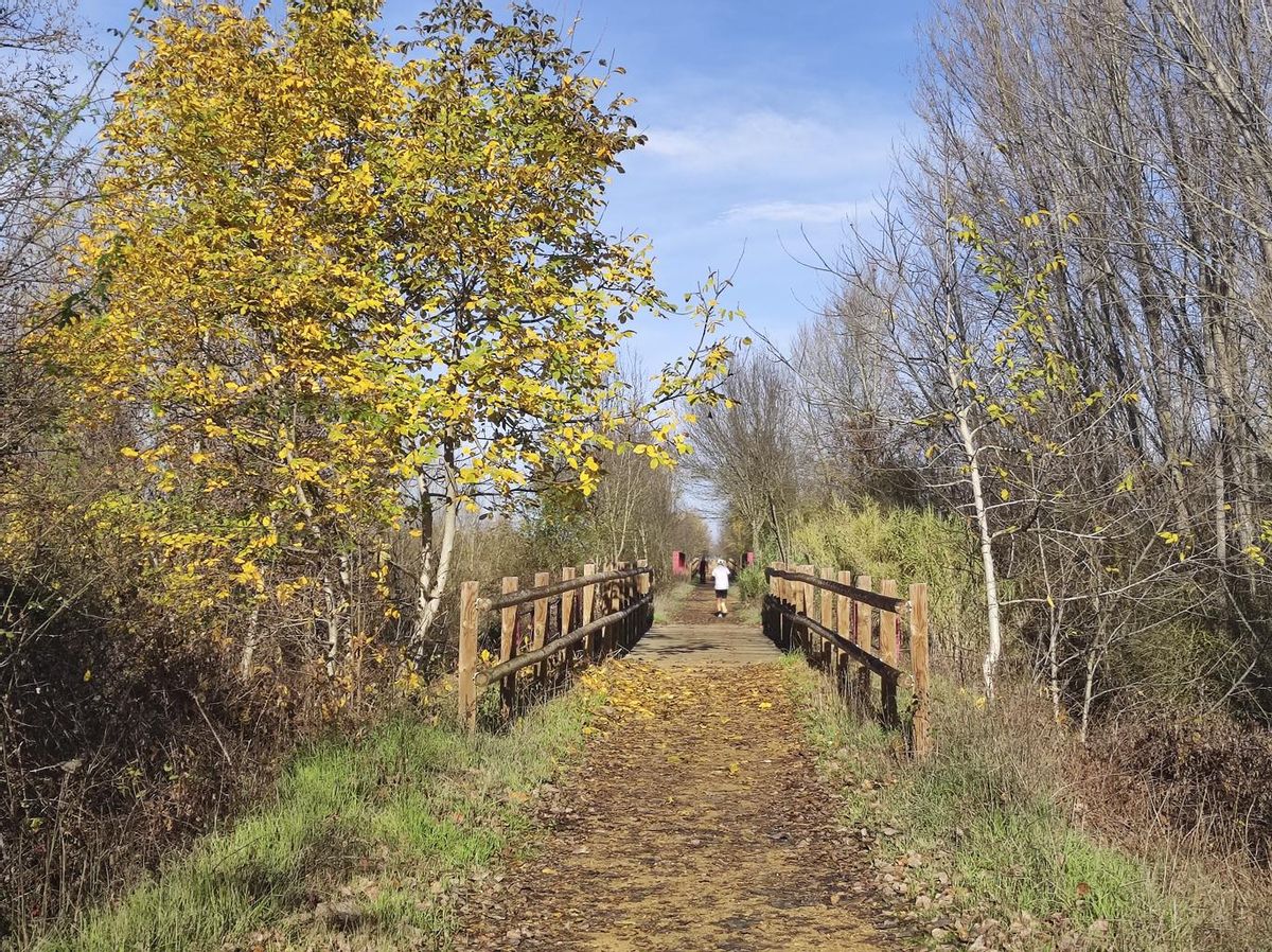 Via verde por el trazado del antiguo ferrocarril, cuya plataforma es la opción más válida para el nuevo trazado según el equipo de ingenieros.