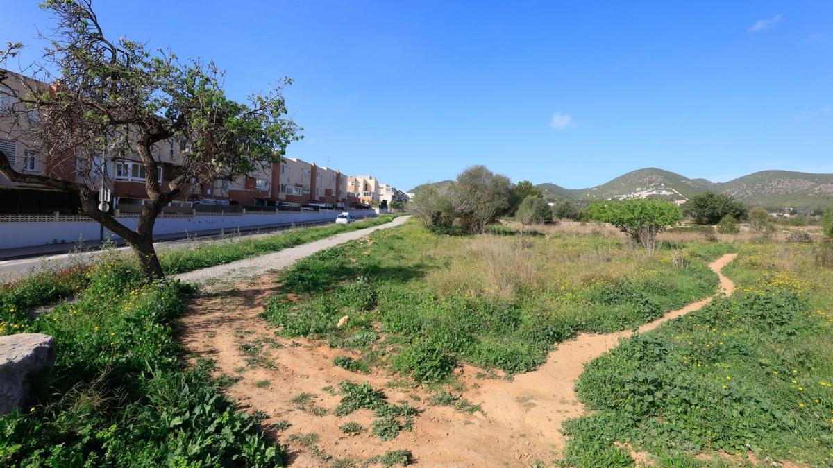 Imagen de los terrenos de Ca n’Escandell, junto a la calle Jondal, en los que se construirá el nuevo campo de fútbol Es Putxet. | VICENT MARÍ