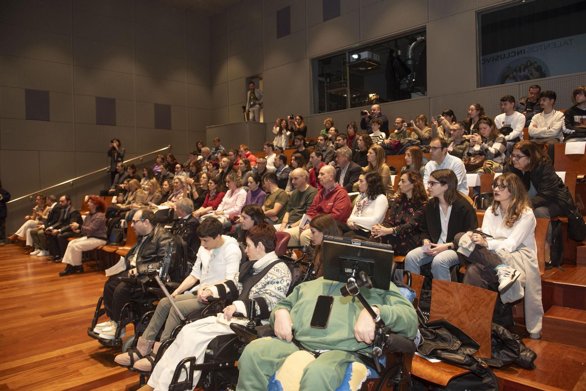 IV Programa Educativo Talentos Inclusivos