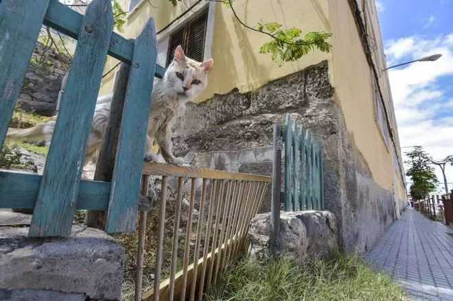 Un plan al rescate de nueve barrios de Las Palmas de Gran Canaria