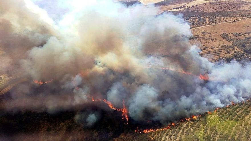 Incendio ocurrido hace dos días en la Serranilla, Salamanca. | Ical