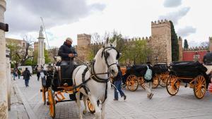 Coches de caballo, Sevilla