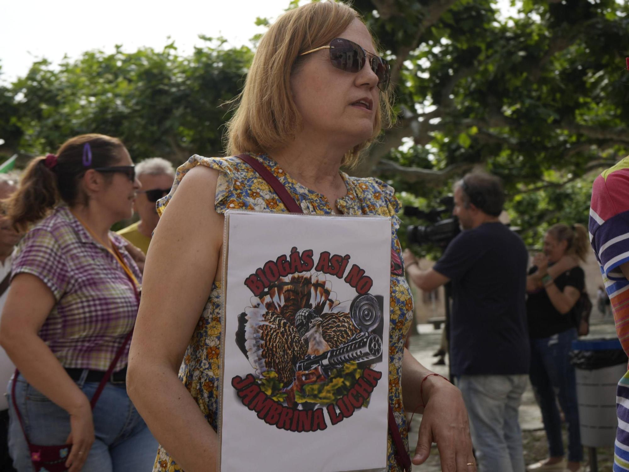 Zamora se suma a la convocatoria nacional contra el biogás