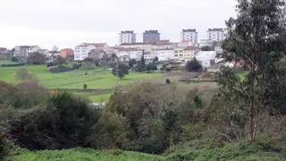 Luz verde de Raxoi al plan de la Xunta para construir más de 3.000 pisos en Mallou