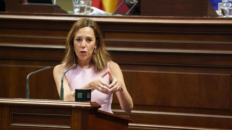 La mala idea de cabrear a Dolores Padrón: la Diputación del Común presenta su mejor informe en una década, pero escatiman tiempo para su exposición