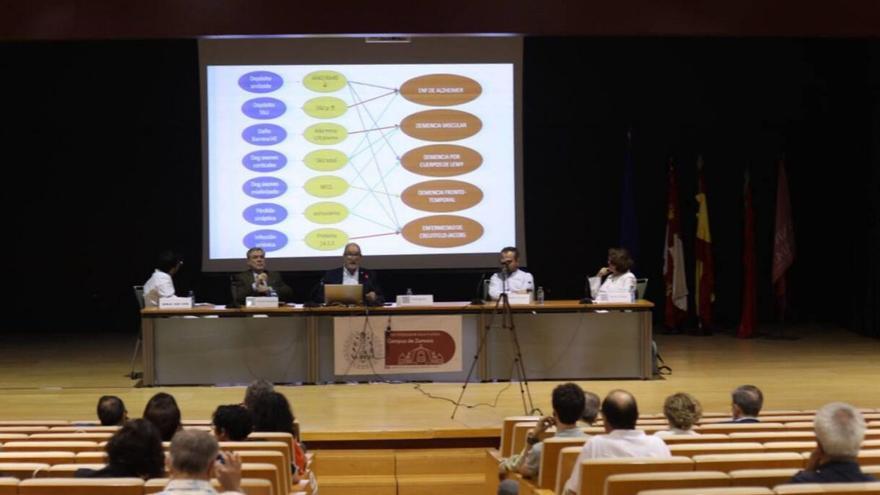 Curso de psicosis en demencia, que se celebra este fin de semana en el Campus Viriato.