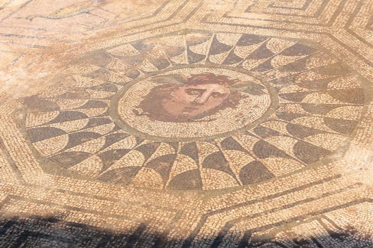 En la imagen puede apreciarse la cara de Medusa, con alas saliendo de su frente.