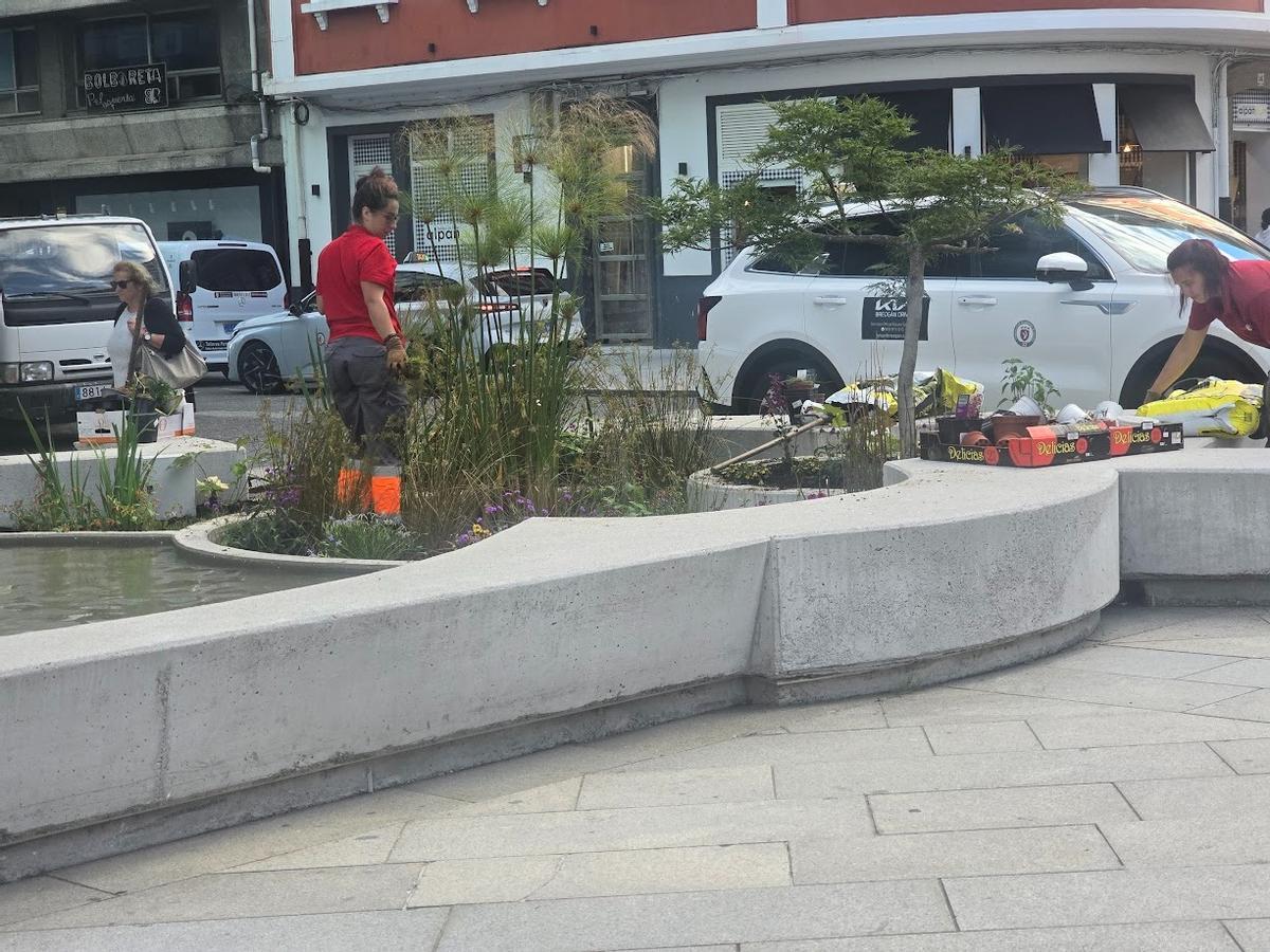Los operarios municipales se encargan esta mañana de recuperar los deteriorados jardines de la peatonalizada calle de Arzobispo Lago, en Vilagarcía.