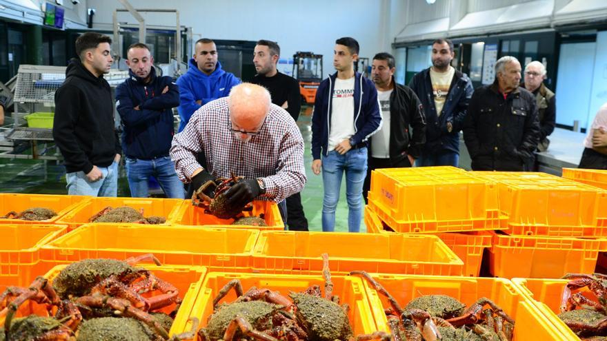 Cerca de 40 barcos inician en Bueu y Cangas la campaña de la centolla