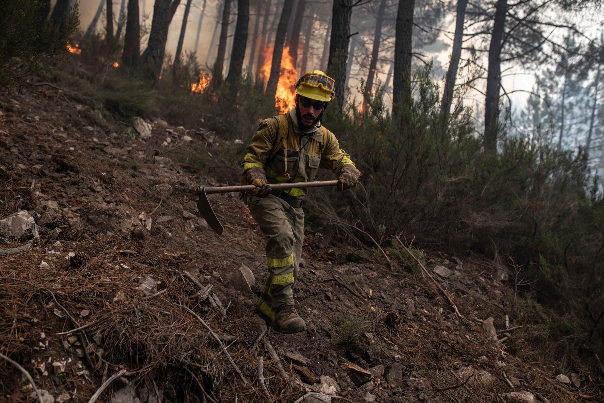 GALERÍA | El incendio de la Sierra de la Culebra, en imágenes