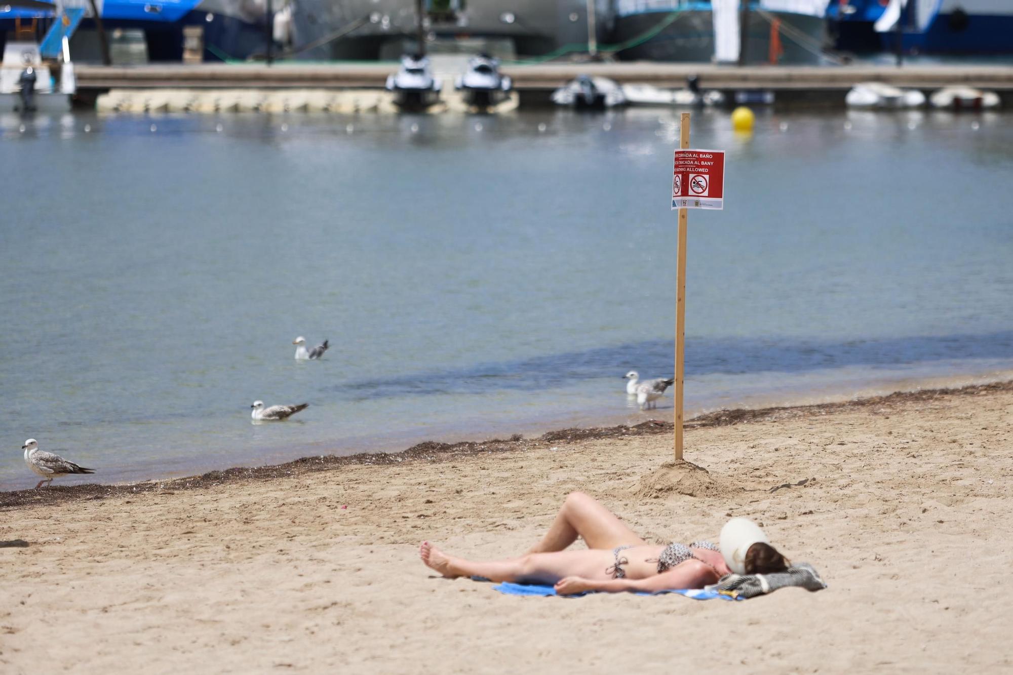 Vertido en la playa Arenal de Sant Antoni