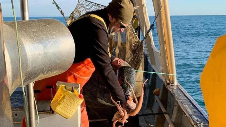 La &#039;frontera&#039; para pescar pulpos pone en pie de guerra a los pescadores de Castellón con Cataluña