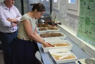 Arca de Noé de las semillas de la agricultura en Tenerife