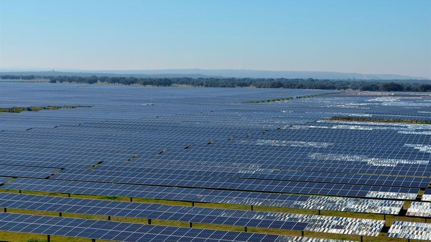 Parques solares, grave amenaza para las aves: creen que son lagos, lo que dispara la mortalidad y altera sus migraciones