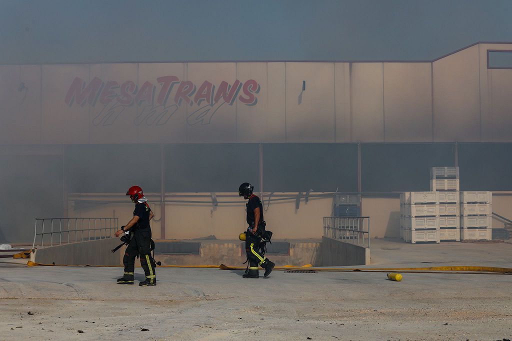 El incendio de la cuadra de caballo de Cartagena, en imágenes