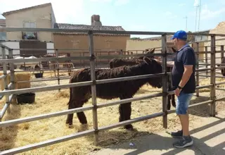 Villalpando se reencuentra con sus tradiciones en la Feria de la Madera