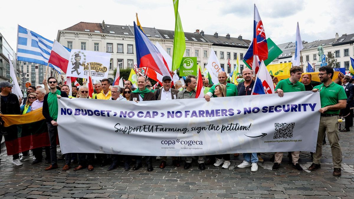 Imagen de la marcha de los agricultores europeos que realizaron en Bruselas el miércoles 16 de julio.