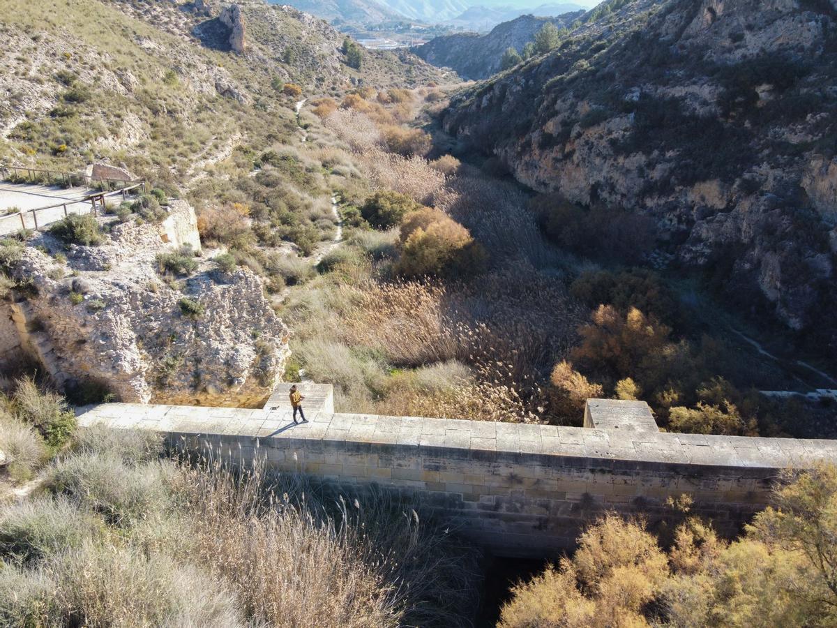 Tres líneas eléctricas amenazan con cruzar el Pantano de Elda a pesar de su protección como humedal.