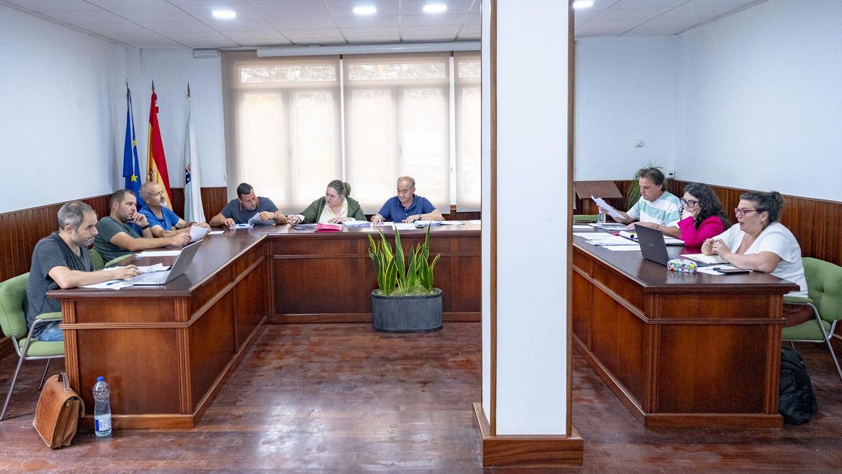 Sesión plenaria na que acordou licitar o SAF de Rois