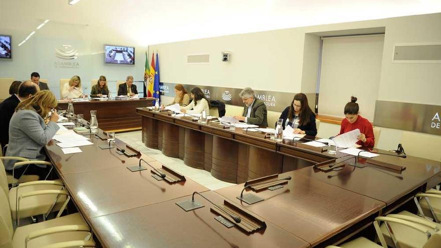 Podemos baraja apoyar la enmienda del PP a la ley de vivienda de Extremadura
