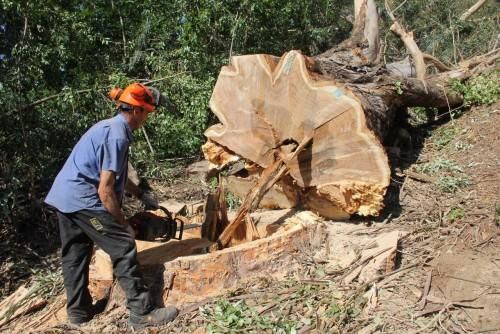 La caída de un gigante