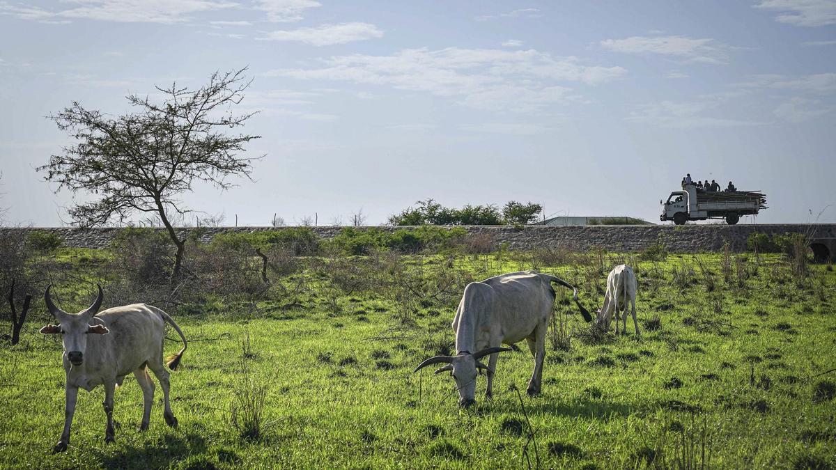 Yuba, Sudán del Sur.