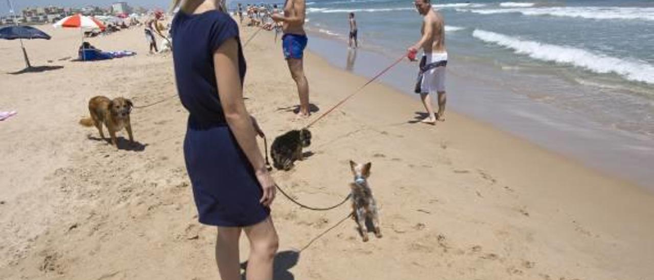 Puçol estudiará la creación de una playa para perros