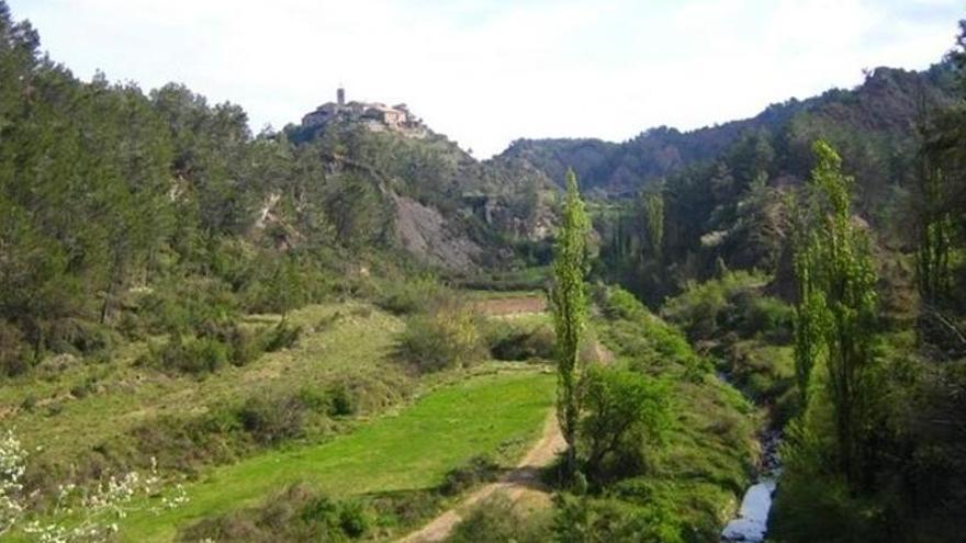 Grups ecologistes s’oposen a la construcció d’una depuradora en espai protegit a Oló