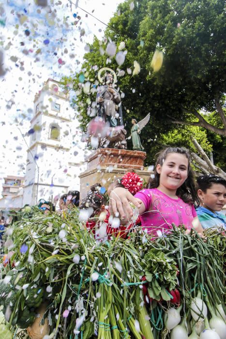 Imágenes de la Romería en Cox