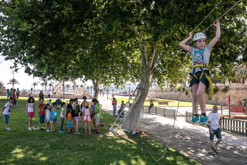 Actividades Parque del Mar