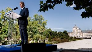 Alberto Núñez Feijóo, durant la roda de premsa després del comitè de direcció del seu partit, a Aranjuez. | CARLOS LUJÁN / EUROPA PRESS