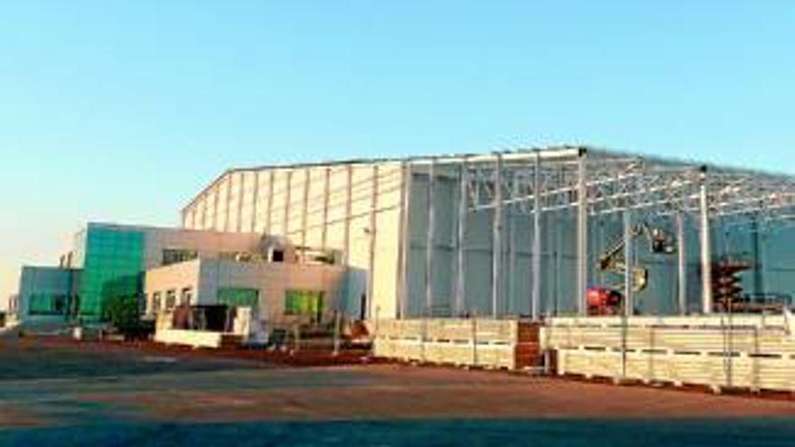 La empresa Guadex retomará toda su producción al inicio de la campaña citrícola