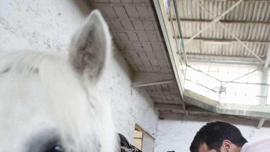 1. Una de las jóvenes, antes del inicio de la clase. 2. Los pequeños dirigen los animales a las cuadras. 3. Omar Fanjul ayuda a uno de los alumnos a montar. 4. La pequeña Aixa Mata sujeta su poni. 5. El grupo sigue a una monitora por el Chas.