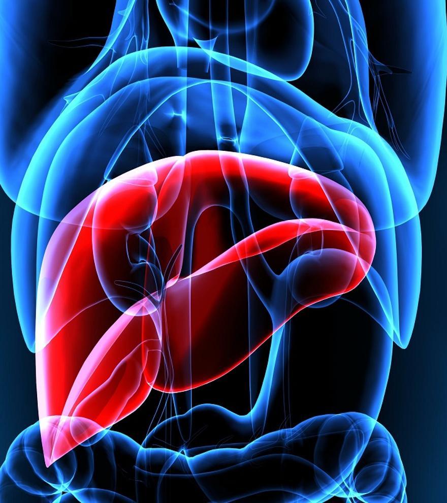 El 25% de la población tiene hígado graso: ¿Cuáles son los síntomas de esta peligrosa enfermedad?