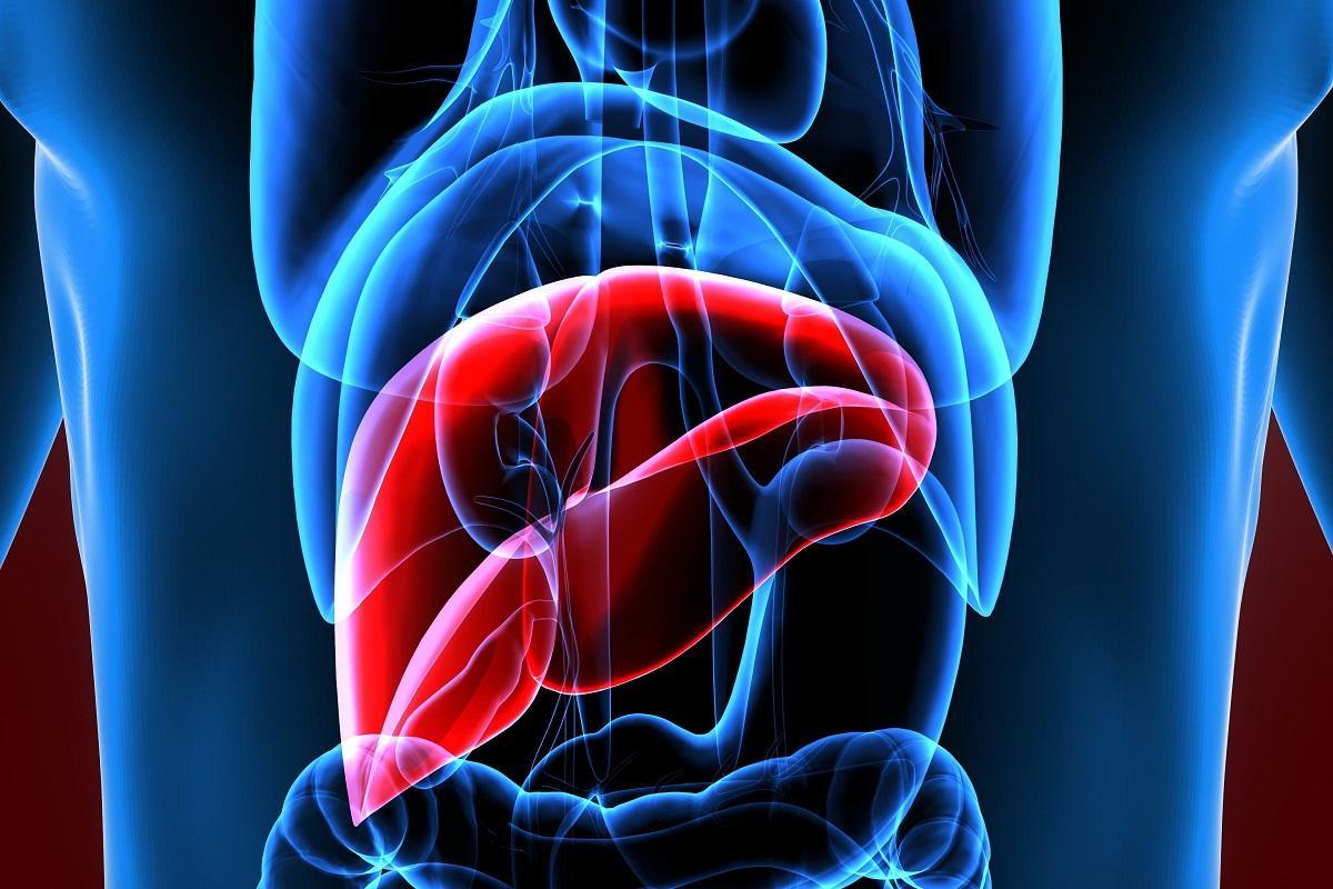 Hasta ahora, el único tratamiento disponible para pacientes con insuficiencia hepática aguda sobre crónica era el trasplante de hígado.