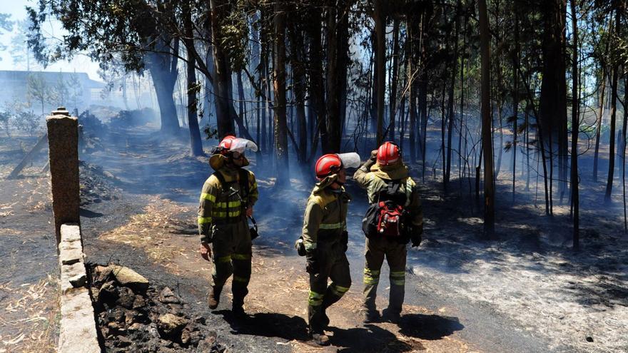 Imagen de archivo de una brigada de extinción de incendios forestales.   | // IÑAKI ABELLA