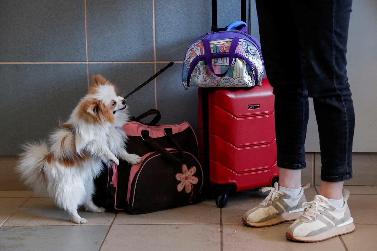 Una persona que ha escapado de Ucrania espera un tren junto a su perro, en la estación húngara de Zahony.