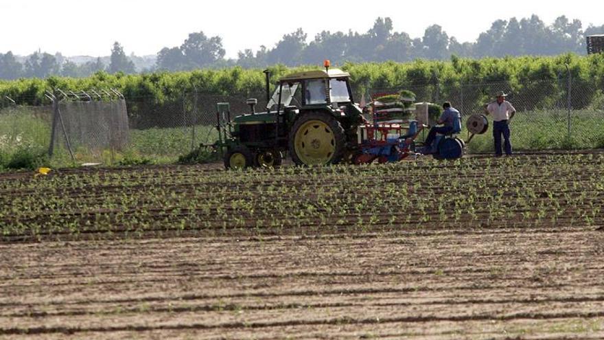 La siniestralidad laboral repunta un 10% en el primer semestre