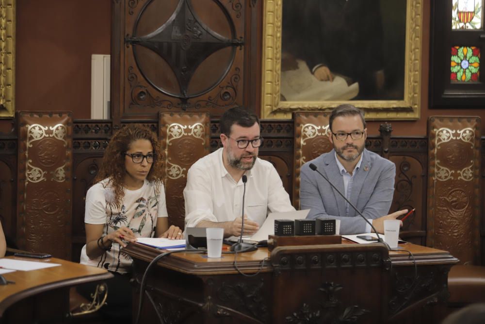 Último pleno en Cort con protestas de trabajadores de Parques y Jardines