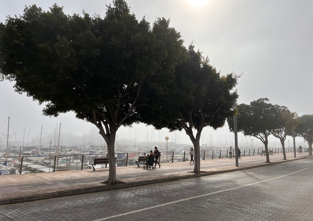 Breite Nebelbänke am Donnerstagmittag (3.2.) in der Bucht von Palma de Mallorca